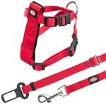 Gurt und G&uuml;rtel Sicherheit Katzen, 20 &ndash; 50 cm, Rot