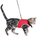 Trixie 41896 Softgeschirr mit Leine, Katze, 24&ndash;42 cm, 1,20 m