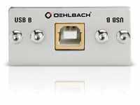 Oehlbach MMT-C USB.2 B/B USB-2.0-B/B-Multimedia Einsatz mit Kabelpeitsche - Silber