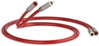 QED Reference Audio 40 Kabel (0,6m)