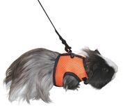 Kerbl Pet Sport Meerschweinchengeschirr mit Flexibler Leine 120cm | Hundegeschirr,