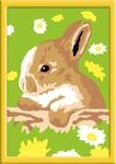 Ravensburger CreArt 29682 - H&auml;schen Flecki - Malen nach Zahlen Hase f&uuml;r Kinder ab 7