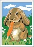 Ravensburger CreArt 28022 - Knuddelh&auml;schen - Malen nach Zahlen Hase f&uuml;r...