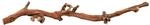 Trixie 76170 5 Weinreben, wassergestrahlt, L: 40&ndash;60 cm, 5 St&uuml;cke