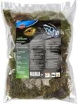 Trixie 76155 Terrarienmoos, Substrat f&uuml;r Feuchtterrarien, 200 g