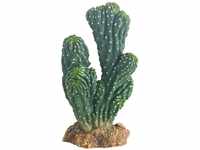Hobby 37019 Kaktus Victoria 1, Höhe 19 cm, künstlicher Kaktus Dekoration im