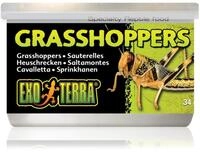 Exo Terra gekochte Grash&uuml;pfer aus der Dose, Einzelfuttermittel f&uuml;r Reptilien, 34g