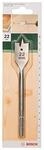 Bosch Accessories Flachfr&auml;sbohrer mit 1/4 Zoll-Sechskantschaft (&Oslash; 22 mm)