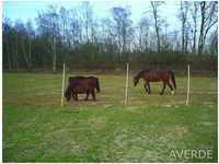 Pferdenetz, Weidezaunnetz, Mustang - Netz, 170 cm x 25 m