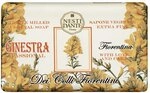 Nesti Dante Colli Fiorentini Broom/Ginster (Handseife aus nat&uuml;rlichen
