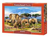 Castorland C-103188-2 - Kilimanjaro Morning, Puzzle 1000 Teile