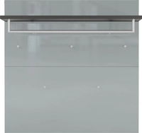 Garderobenpaneel LEVIN 97 x 96 cm Glasfront Silbergrau/Graphit