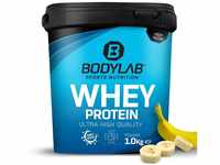 Bodylab24 Whey Protein Pulver, Banane, 1kg