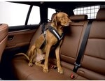 KLEINMETALL 15380200 Allsafe G&uuml;rtel der Sicherheit f&uuml;r Hunde, L