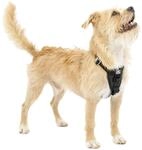 Kurgo TRU-Fit Hundegeschirr, Crash-Test-erprobtes Auto-Sicherheitsgurt, Gr&ouml;&szlig;e S,