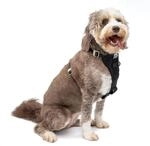 Kurgo TRU-Fit Leine, Halsband Hund, No Pull Hundegeschirr, Frontclipfunktion f&uuml;r