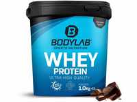 Bodylab24 Whey Protein Pulver, Schokolade, 1kg