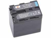 DSTE Ersatz Batterie Li-Ionen-Akku Compatible für NP-QM91D, NP-QM91 und Sony