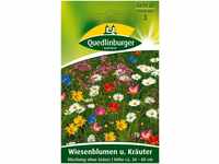 Blumenwiese - Wiesenblumen u. Kräuter Mischung ohne Gräser von Quedlinburger