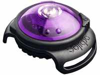 Orbiloc 393342/2937 Dog Dual Safety Light Hundelicht mit Befestigungsgummi, purple