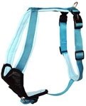 Wolters | Geschirr Professional Comfort in Aqua/Azur | Brustumfang 60 - 70 cm