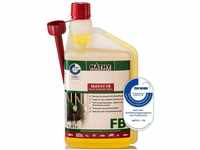 MATHY-FB Benzin-Pflege-Kraftstoffadditiv, 1,0 l - Benzin Additiv - pflegt &...