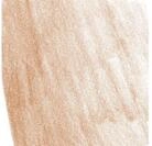 Farbstift PITT PASTEL Farbe 283 [B&uuml;robedarf & Schreibwaren]