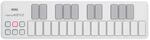 Korg KOH Nanokey2-WH 25 Hinweis USB-Tastatur Schwarz