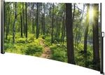 HTI-Living Seitenmarkise mit Fotodruck Wald Seitenmarkise mit Fotodruck Wald