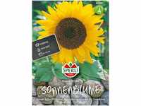 Sperli-Samen Sonnenblumen Henry Wilde