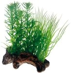 Hobby 51595 Flora Root 2, Wurzelnachbildung, mit Kunstpflanzen, S