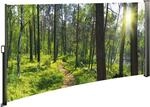 Westerholt Seitenmarkise mit Fotodruck Wald - Auszug Links - Bildmotiv rechts