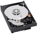 Western Digital WD1000FYPS RE2-GP Enterprise 1TB interne Festplatte (8,9 cm (3,5