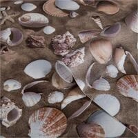 d-c-fix M&ouml;bel-Klebefolie Venus, 45 cm x 1,5 m - abwaschbare und selbstklebende