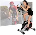 Christopeit Heimtrainer AL 1 Fahrrad Ergometer, leiser Hometrainer, 8-Stufig, bis