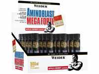 BWG Amino Muscle Complex Formula, Amino-Liquid Ampullen mit Vitamin B6...