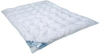 Julius Z&ouml;llner 4850130000 - Kindersteppbett Daune, F&uuml;llung 300 g, 100/135 cm