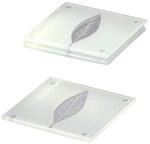Zeller 26232 Glasuntersetzer 4-er Set 10 x 10