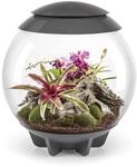 biOrb 46148 biOrb AIR 60 grau - automatisiertes Terrarium zur bequemen Pflege