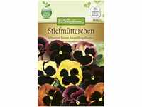Chrestensen Stiefmütterchen 'Schweizer Riesen Ausstellungsblumen'