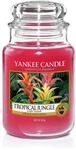 Yankee Candle Duftkerze im Glas (gro&szlig;) | Tropical Jungle | Brenndauer bis zu 150