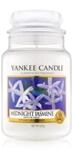 Yankee Candle Duftkerze &bdquo;Mitternachts-Jasmin