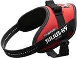Julius K9 16IDC-R-M IDC-Powergeschirr mit Logofeld, mini rot