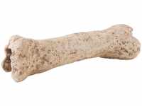 Exo Terra Dinosaur Bone, Dinosaurier Knochen, sicheres Versteck für
