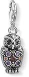 THOMAS SABO Charm-Anh&auml;nger Funkelnde Eule 925er Sterlingsilber, Geschw&auml;rzt