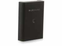 Bluesound BP100 wiederaufladbares Batteriepack für Pulse Flex - Schwarz