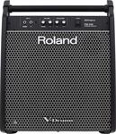 Roland PM-200 Personal Monitor - Fullrange-Audiosystem mit 180 Watt,