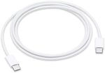 Apple USB-C Ladekabel (1 m)