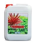 Aqua Rebell &reg; Mikro Spezial Flowgrow D&uuml;nger - 5 Literflasche - optimale Versorgung