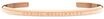 Daniel Wellington Classic bracelet L Double Plated Stainless Steel (316L) Rose Gold